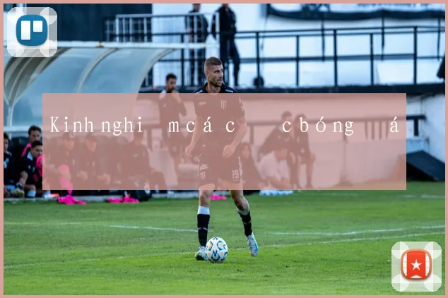 Kinh nghiệm cá cược bóng đá