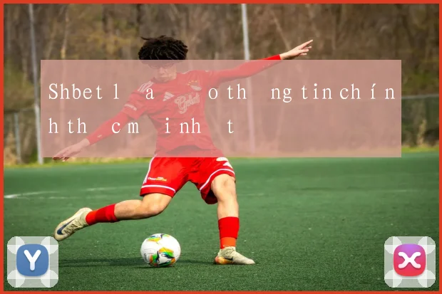 Shbet lừa đảo thông tin chính thức mới nhất